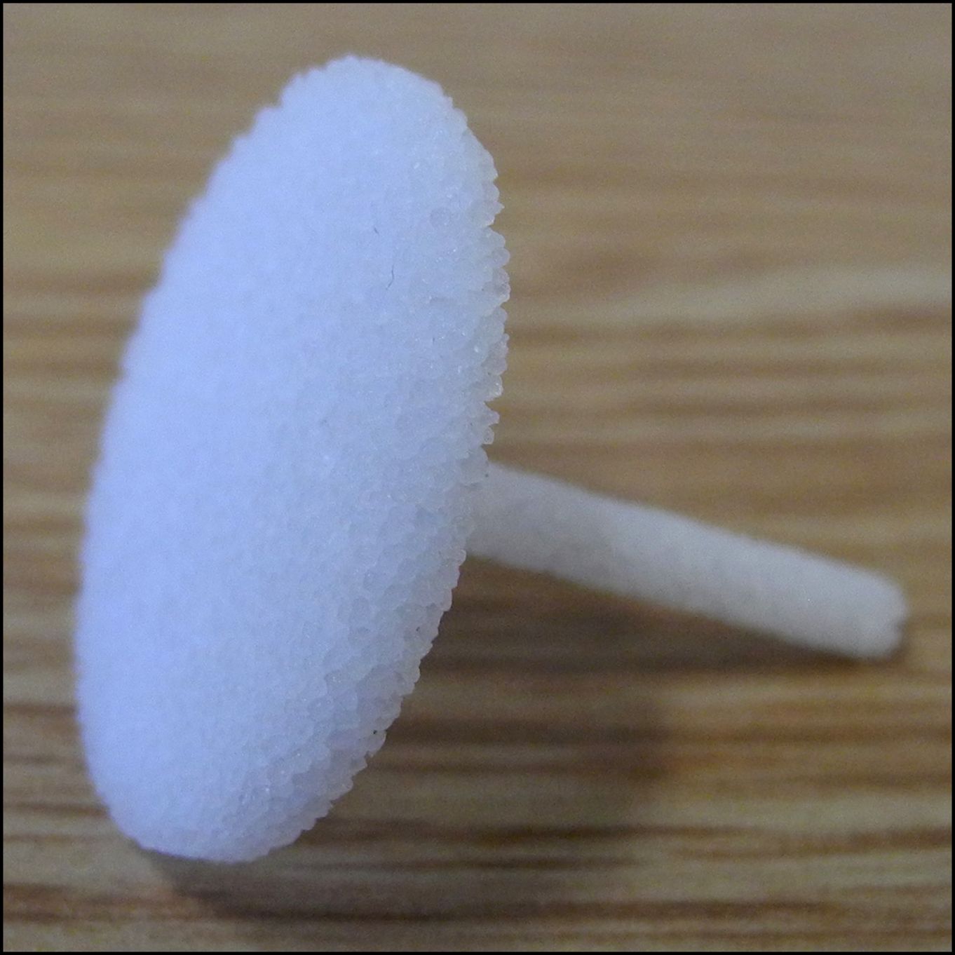 Filter For Liquid Container For Elma Solvex VA - HZCVA02