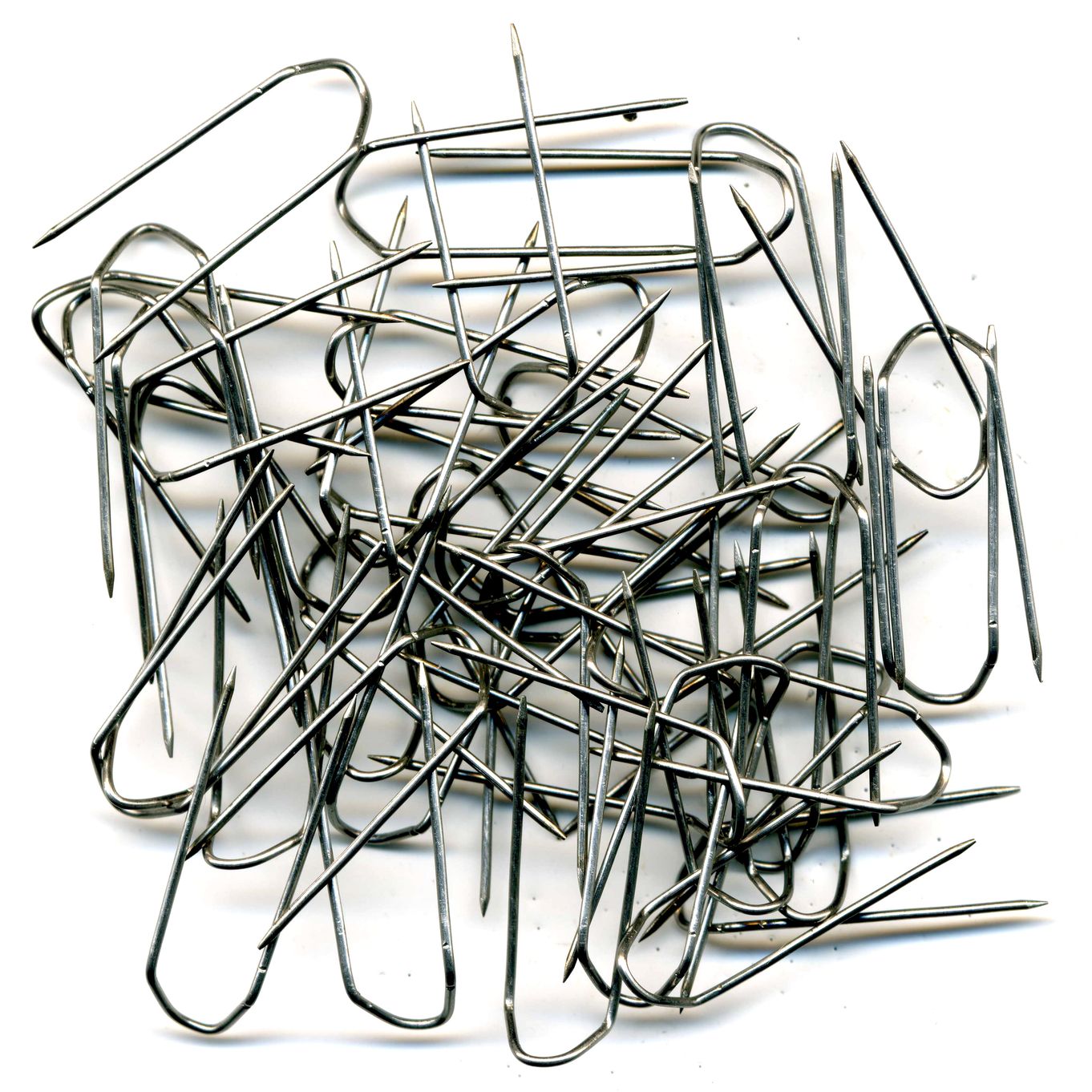 Economy Display Pins 25mm Steel - FP419