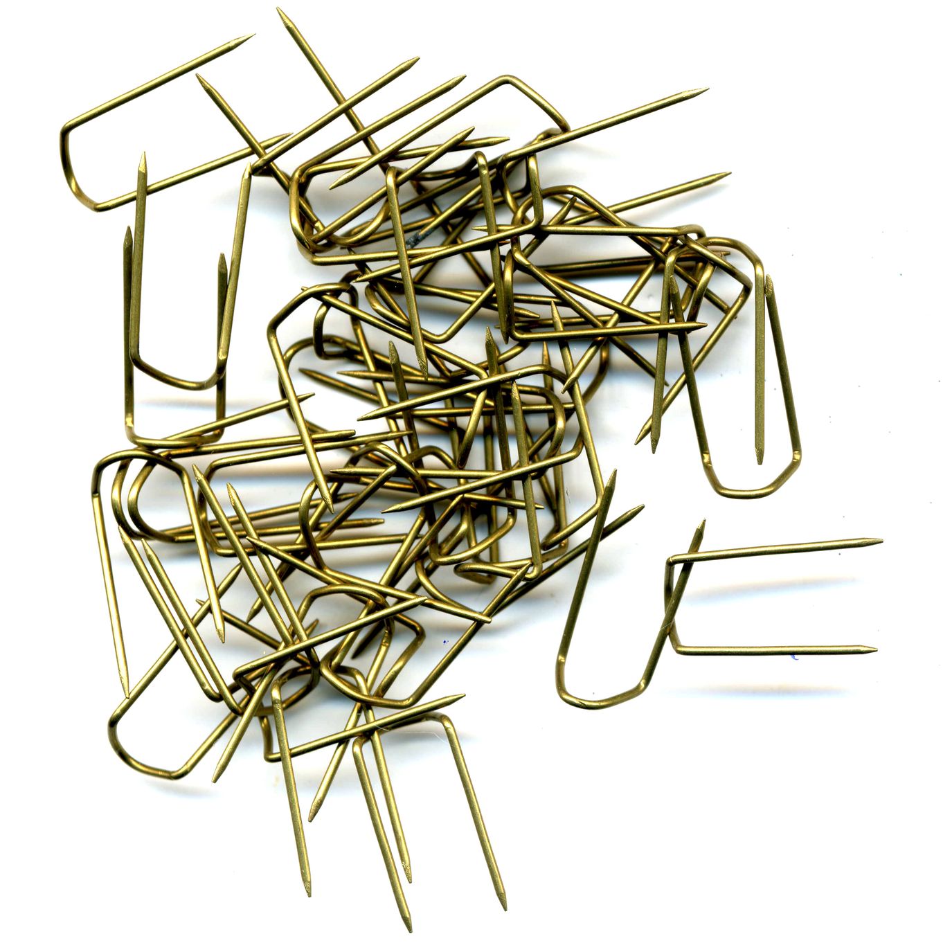 Economy Display Pins 16mm Gilt - FP416