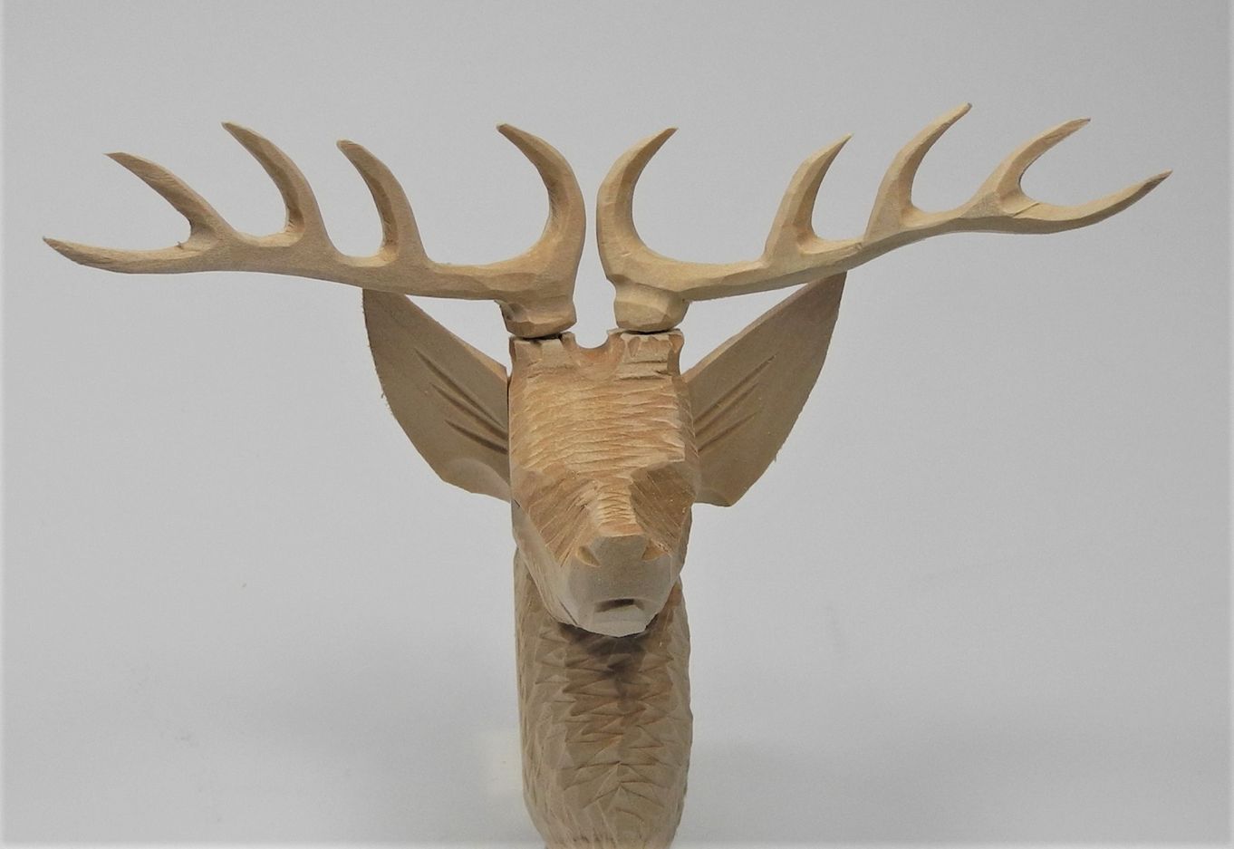 Stag Head CC24