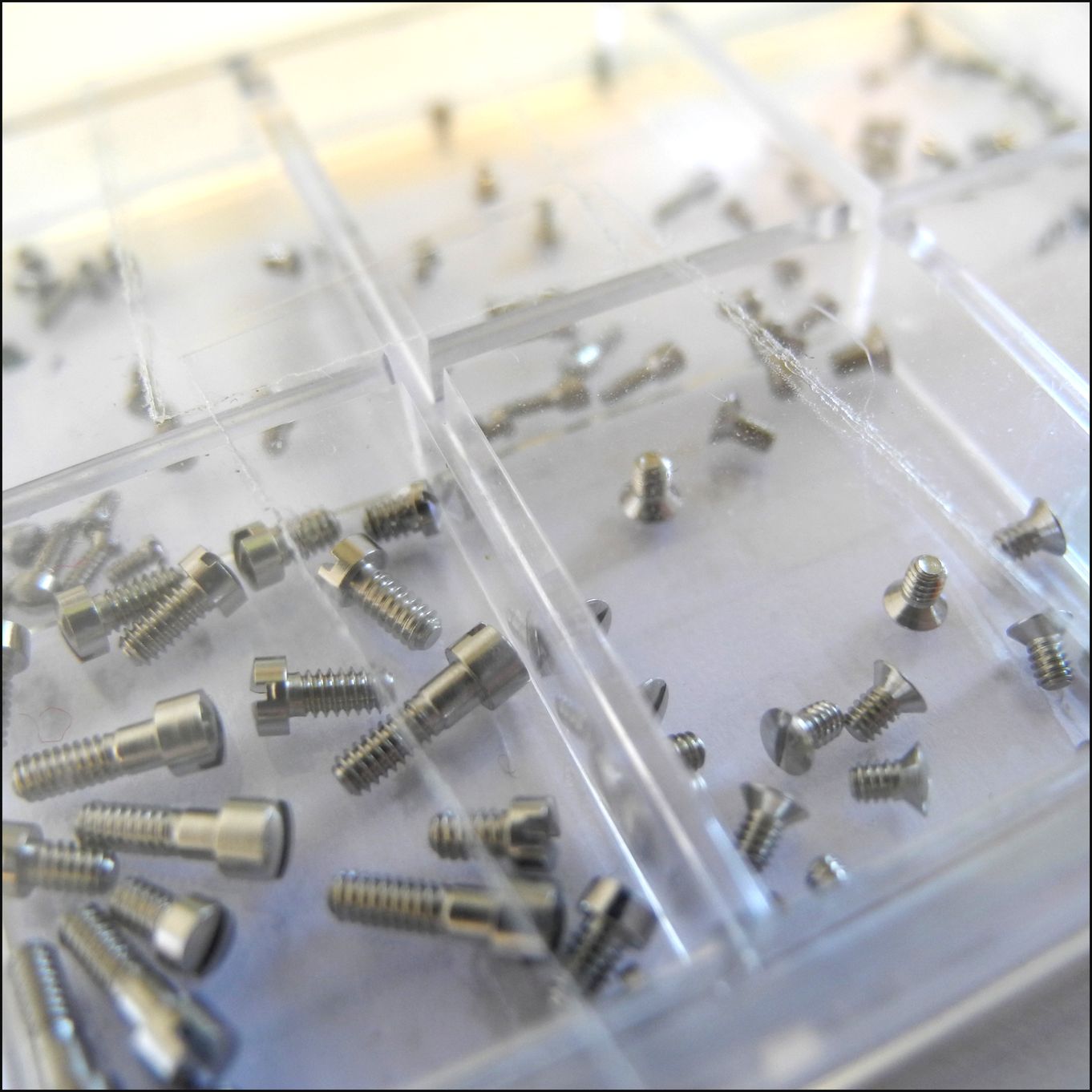 Watch case screws new arrivals