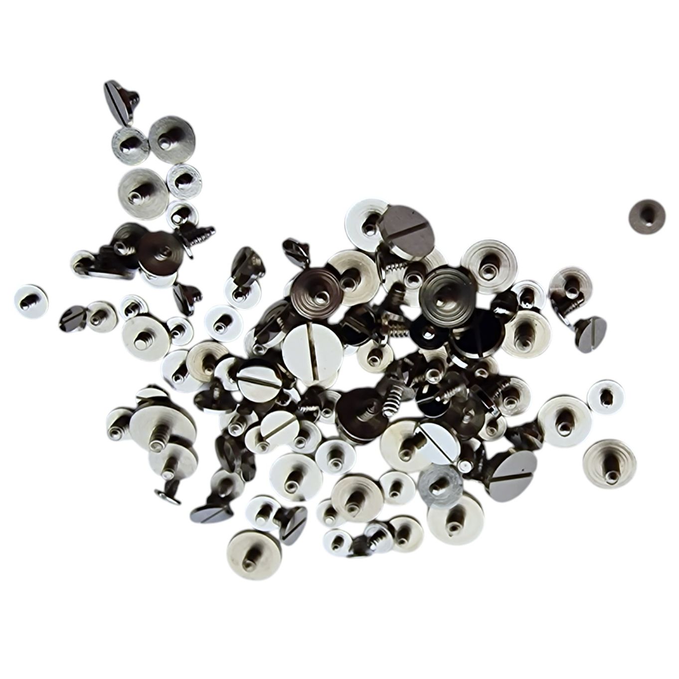 ASSORTMENT OF RATCHET WHEEL SCREW FOR WRISTWATCHES L/HAND - MX91