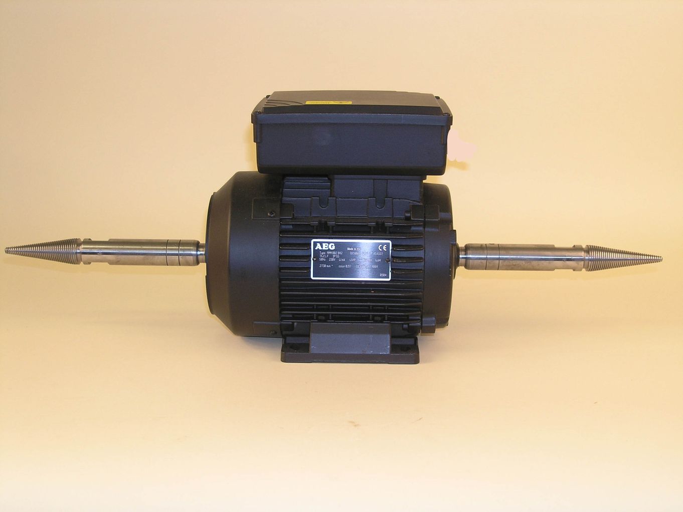 Polishing Motor - TP8112C